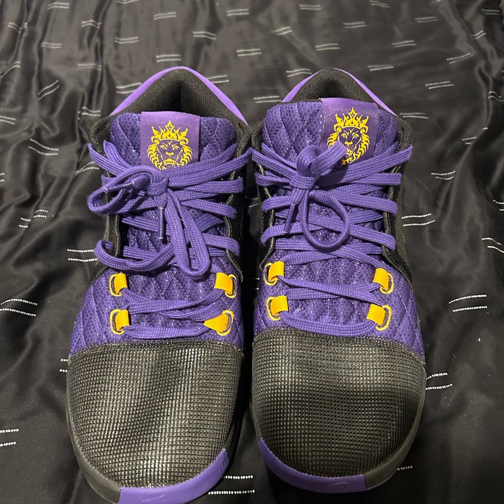 LeBron Witness Nike Sneakers